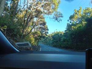 Waitakere Ranges